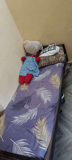 PG for Girls in Durga Temple