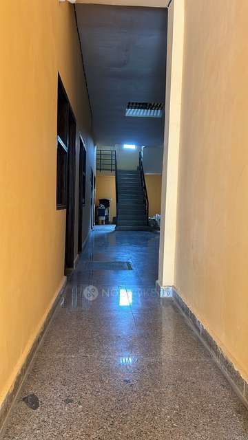 PG for Anyone in Sector 130