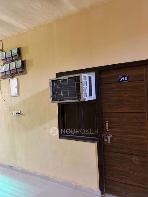 PG for Anyone in Sector 130