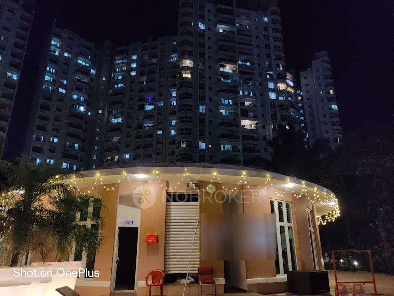 3 BHK Flat In Megapolis Sangria Towers for Rent  In Hinjewadi Phase 3