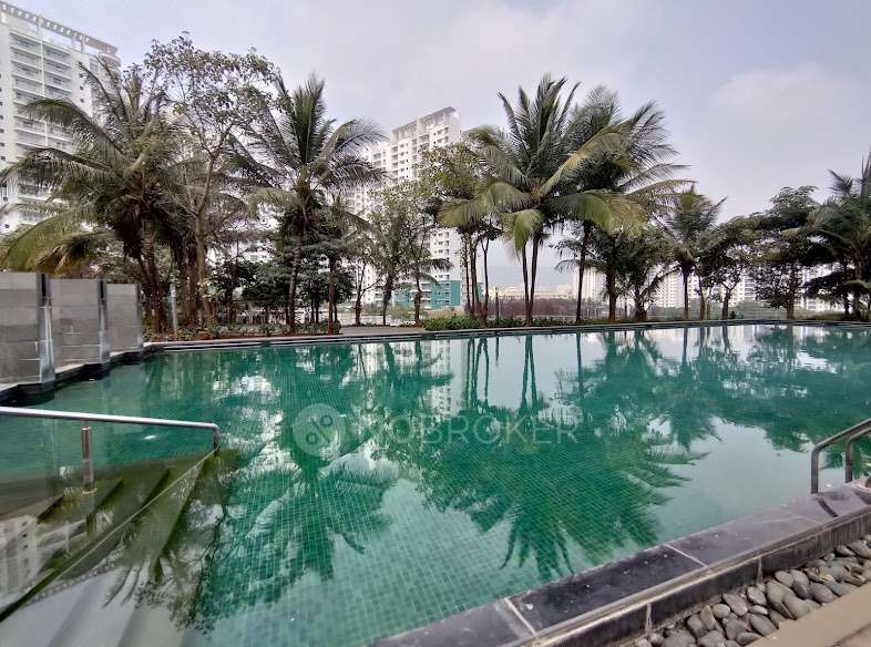 3 BHK Flat In Megapolis Sangria Towers for Rent  In Hinjewadi Phase 3