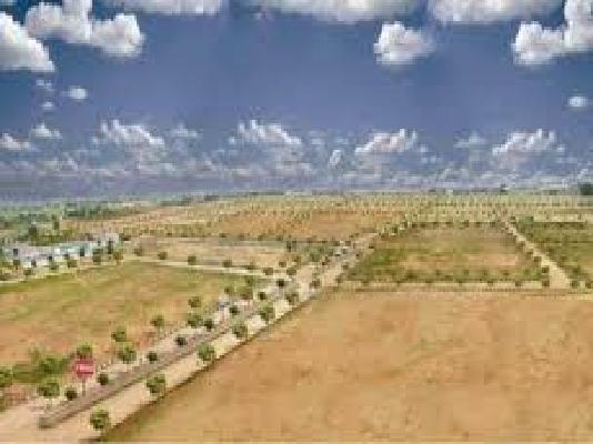 Plot For Sale  In Fortune Butterfly City Kadathal Hyderaba In B.n Reddy Nagar