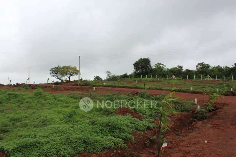 Plot For Sale  In Sushilai Park Phase-2 Road