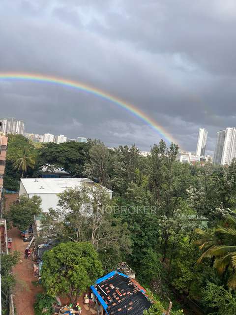 3 BHK Flat In Canopy Calyx For Sale  In Nagavara, Bangalore