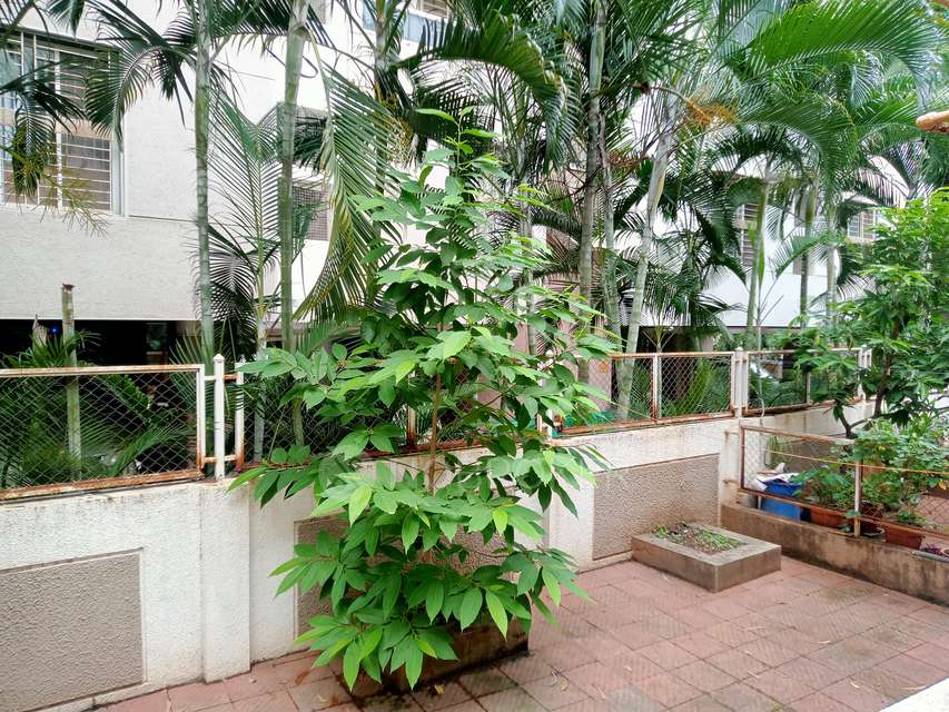 3 BHK Villa In Chitamani Park   For Sale  In Kothrud
