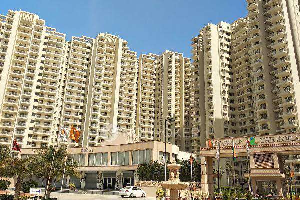 3 BHK Flat In The Coralwood for Rent  In  Sector 84
