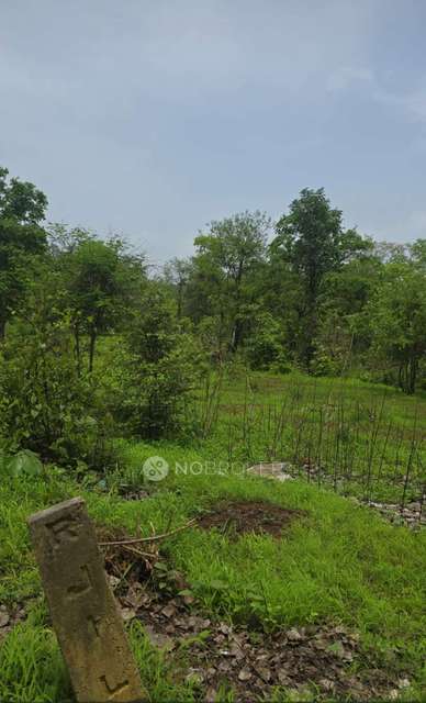 Plot For Sale  In Shubham Mangal Karyalay & Mangal Kendra