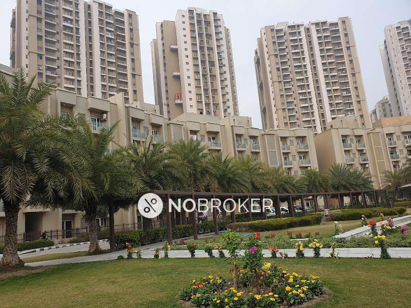 3 BHK Flat In Paras Tierea For Sale  In Sector 137