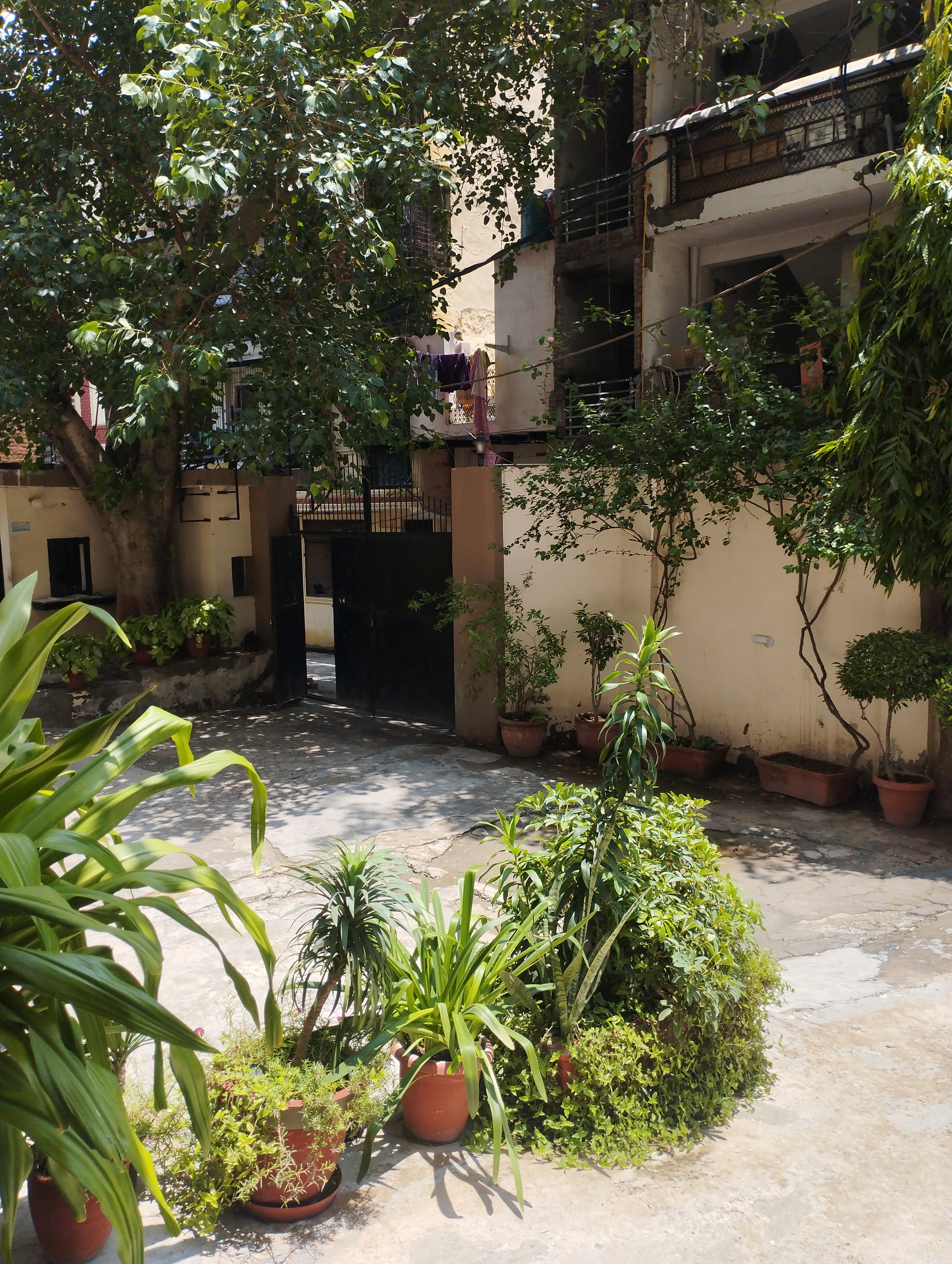 Dda Farm View Apartment