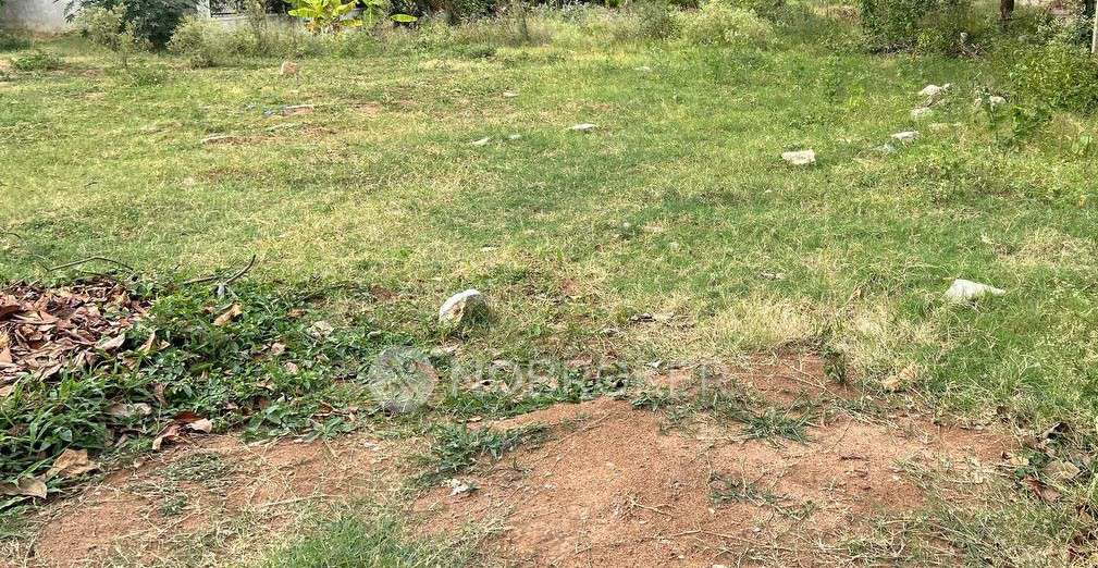 Plot For Sale  In Bush Berry In  Gollahalli