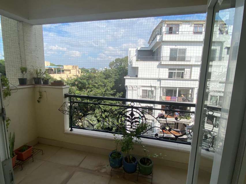 3 BHK Flat In Regency Aura For Sale  In Frazer Town