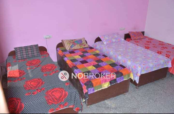 PG for Boys in Sector17