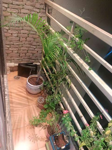 2 BHK Flat In Shreeji  For Sale  In Parsik Nagar, Kalwa