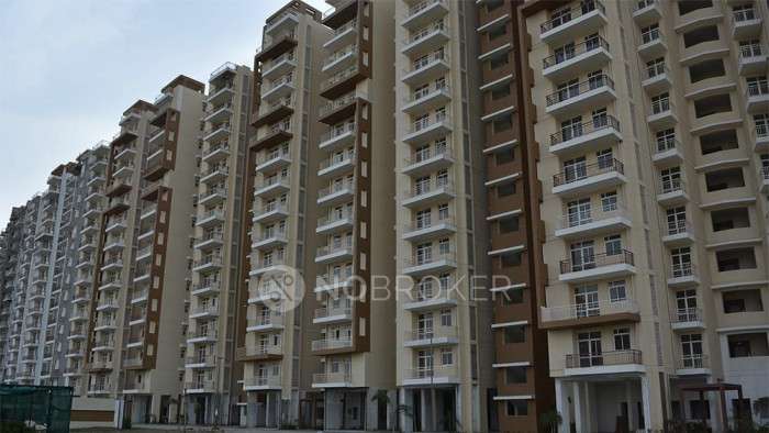 1 BHK Flat In Terra Heritage Sector 51 Bhiwadi For Sale  In Rajokri
