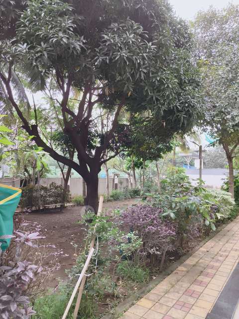 2 BHK Flat In Vrindavan Heights Phase Ii for Rent  In  Hadapsar