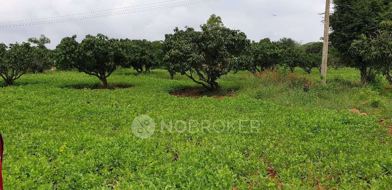 Plot For Sale  In Hosur
