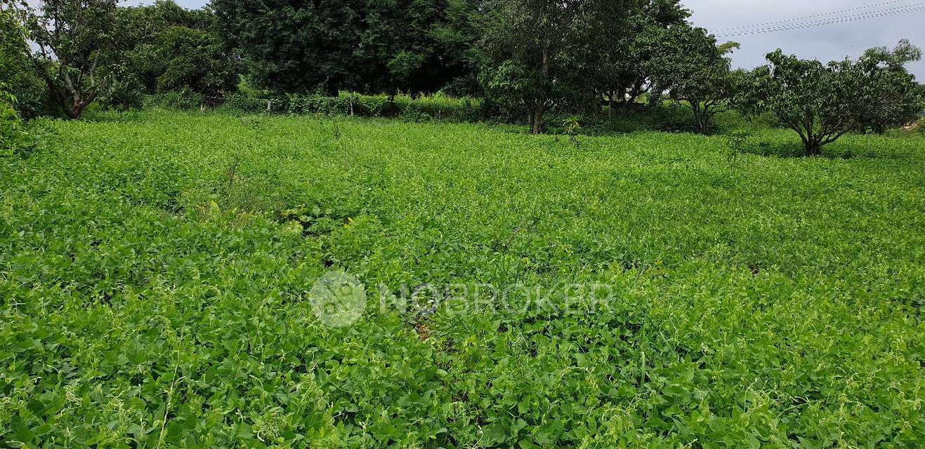 Plot For Sale  In Hosur