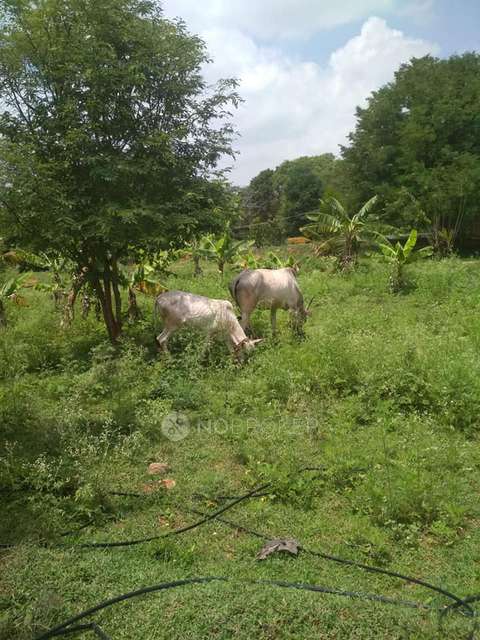 Plot For Sale  In Hosur