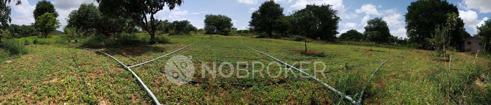 Plot For Sale  In Hosur