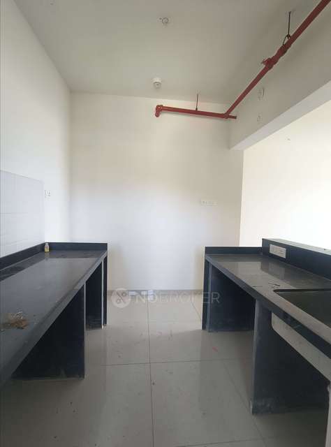 2 BHK Flat In Shapoorji Golfland At Vanaha Verdant for Rent  In Bavdhan