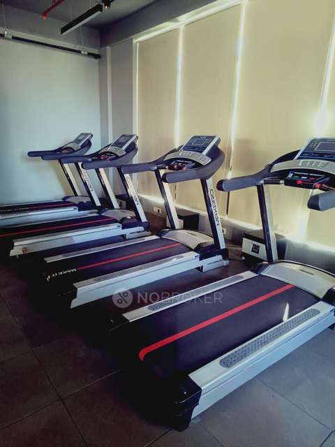 2 BHK Flat In Shapoorji Golfland At Vanaha Verdant for Rent  In Bavdhan