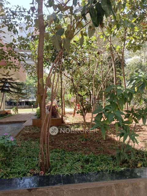 2 BHK Flat In Royal Orange County for Rent  In Rahatni