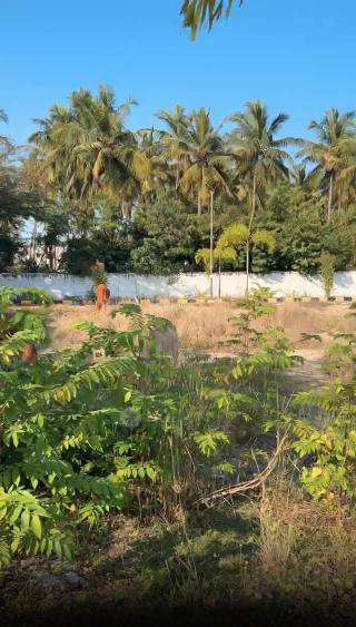 Plot For Sale  In Serasa Singhvi Garden Phase 2 In Serasa Singhvi Garden