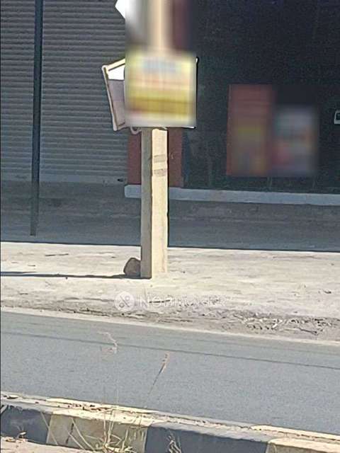 Godown/Warehouse in Honnakalasapura, Bangalore for Rent 