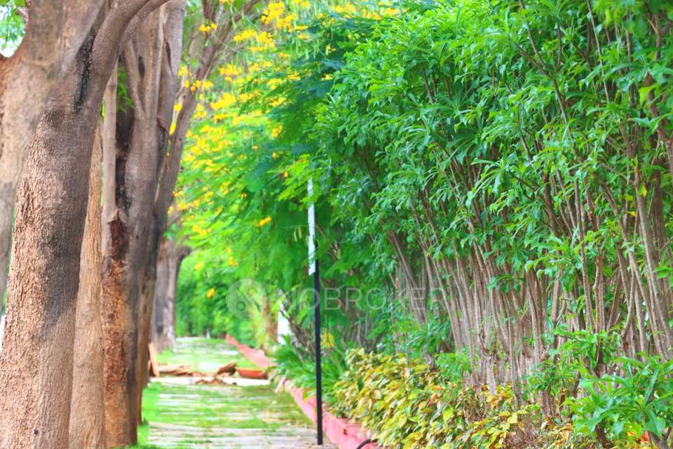 Plot For Sale  In Celebrity Natures Habitat Phase I Extn In Bidaraguppe