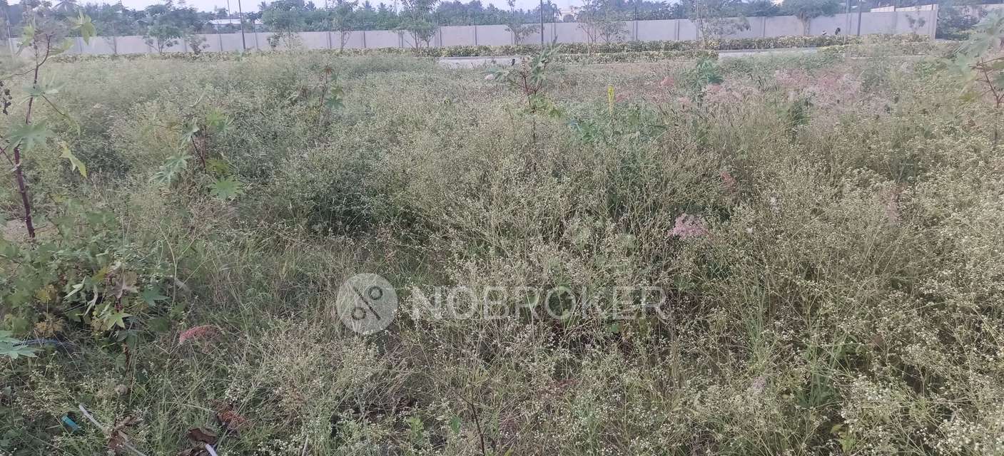 Plot For Sale  In Purva Oakshire In Rampura