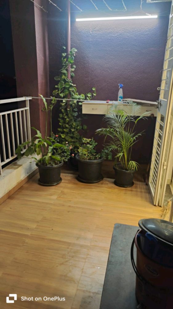 Trimurti 11 Park Street