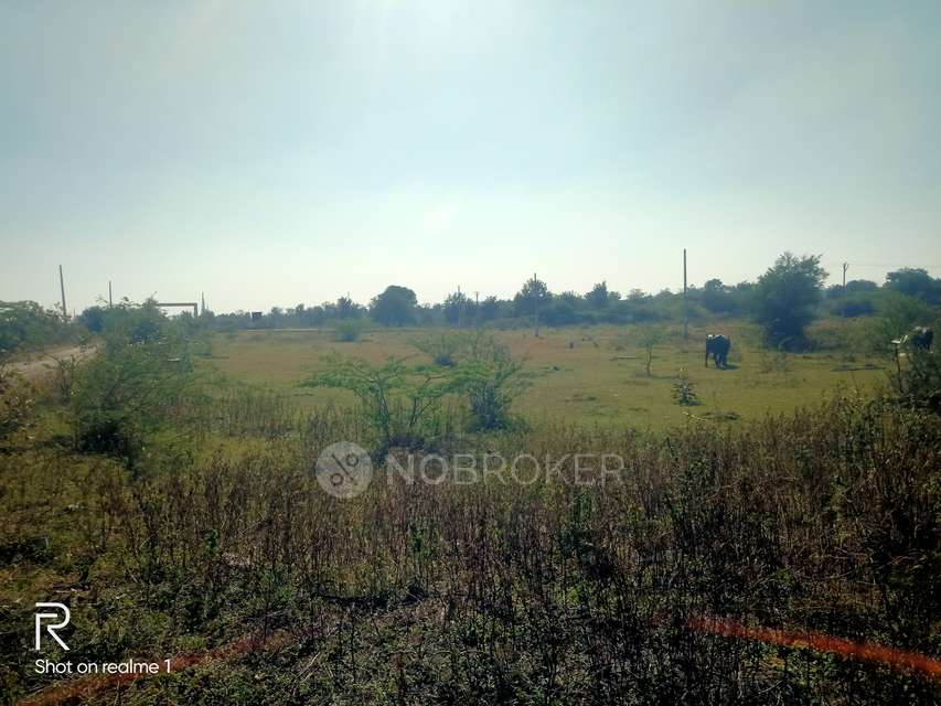 Plot For Sale  In Shadnagar