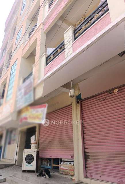 4+ BHK Flat In Sb For Sale  In Hastinapuram