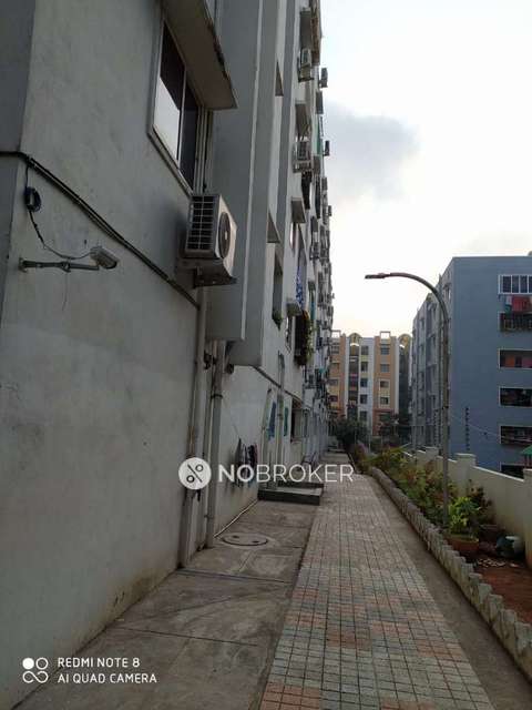 3 BHK Flat In Praneeth Pranav Zenith for Rent  In Bachupally