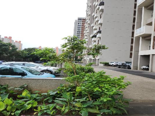 1 BHK Flat In Lodha Belmondo For Sale  In  Pimpri-chinchwad