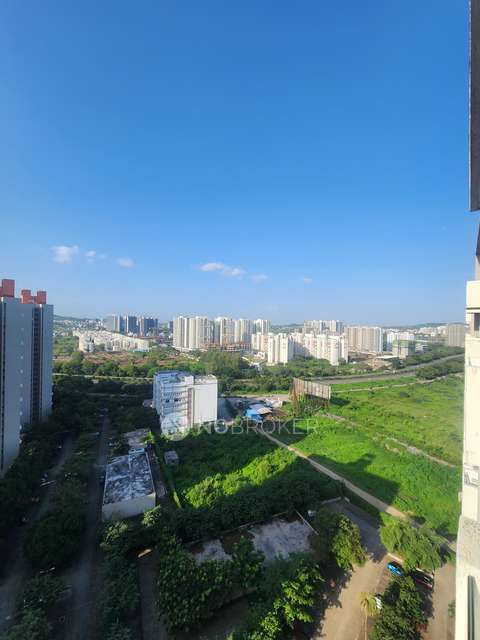 1 BHK Flat In Lodha Belmondo For Sale  In  Pimpri-chinchwad