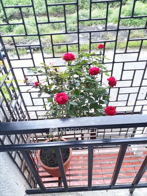 2 BHK Flat For Sale  In Taloja 