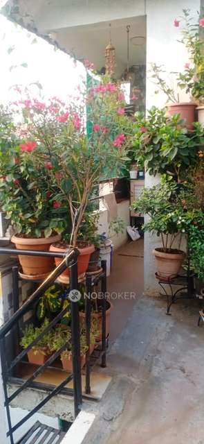 Shared Room for Female In 1 RK  In Wadgaonsheri