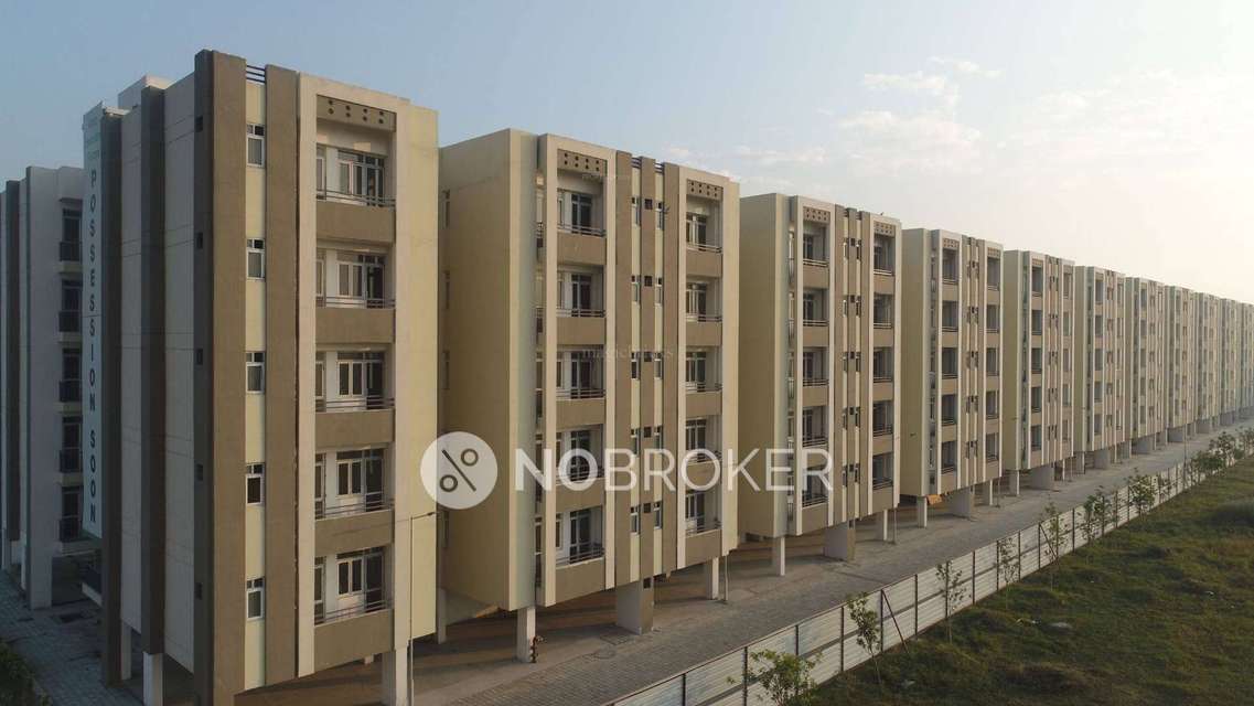 2 BHK Flat In Wave Executive Floor  for Rent  In Wave City