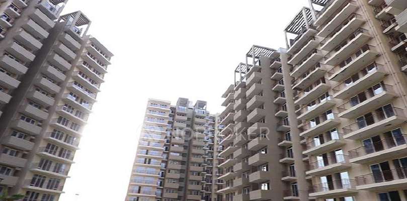 1 BHK Flat In Signature Global Grand Iva Sector 103 For Sale  In Sector 103