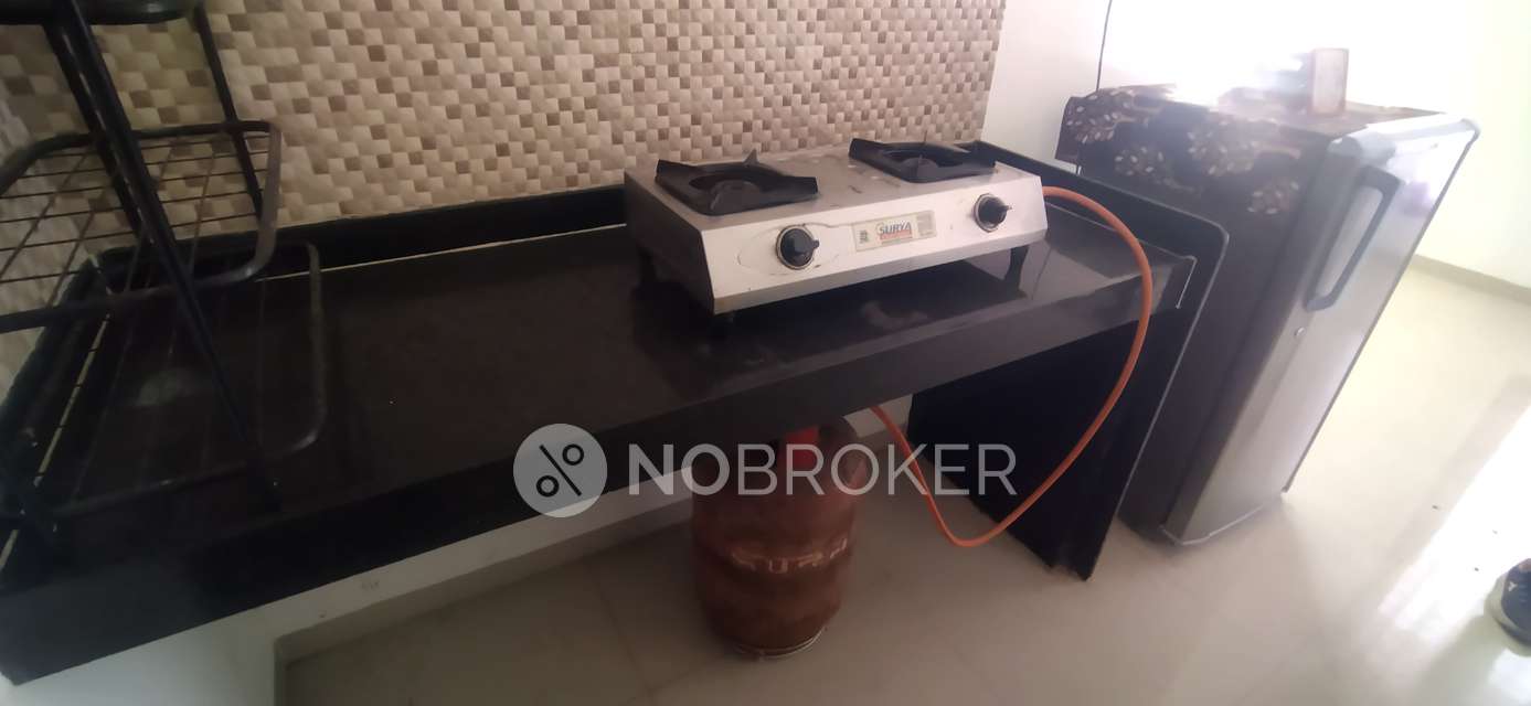 2 BHK Flat In Gagan Micasaa for Rent  In Wagholi