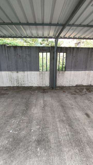 2 BHK Flat In Sr Anand Residency for Rent  In Dhanori