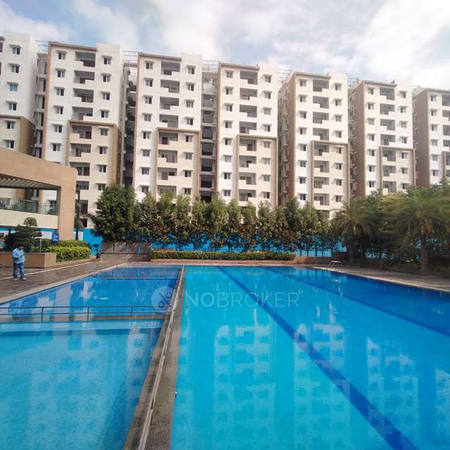 3 BHK Flat In Purvankara Provident Kenworth For Sale  In Purvankara Provident Kenworth