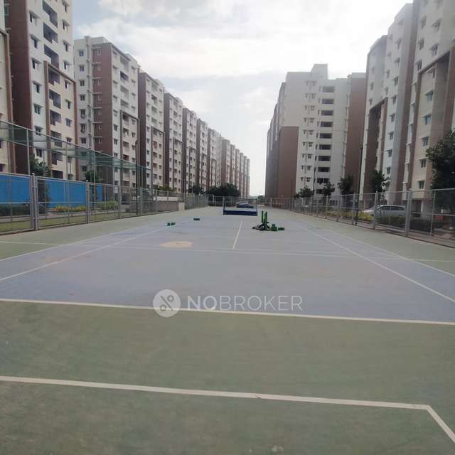 3 BHK Flat In Purvankara Provident Kenworth For Sale  In Purvankara Provident Kenworth