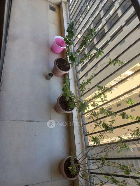 2 BHK Flat In Tata Amantra For Sale  In Bhiwandi