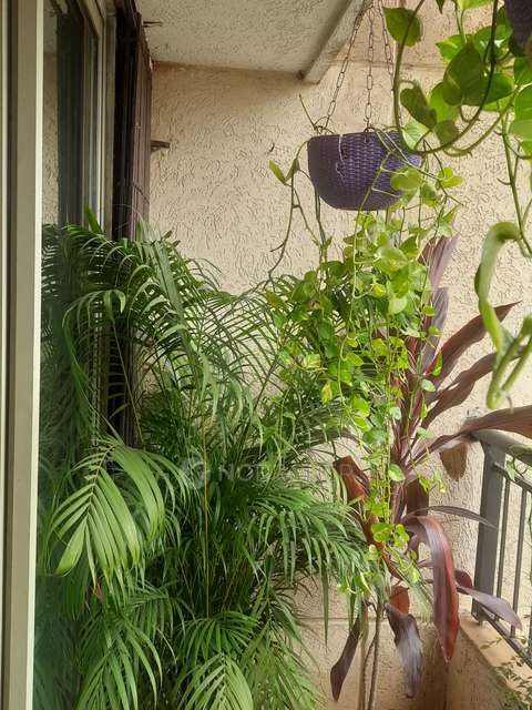 2 BHK Flat In Maxima For Sale  In Dombivli East