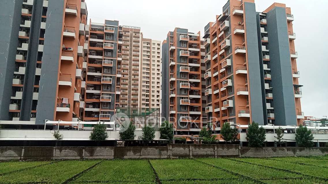 Shared Room for Female In 2 BHK  In Rohan Ananta In Tathawade