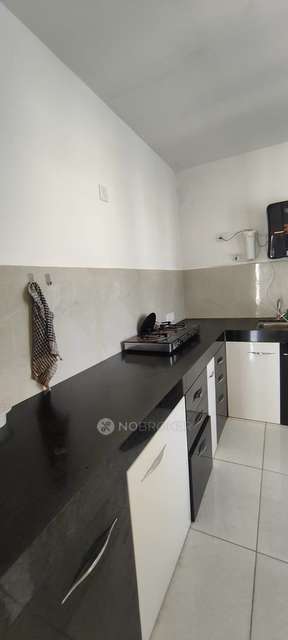 2 BHK Flat In Global Lifestyle for Rent  In Hinjewadi