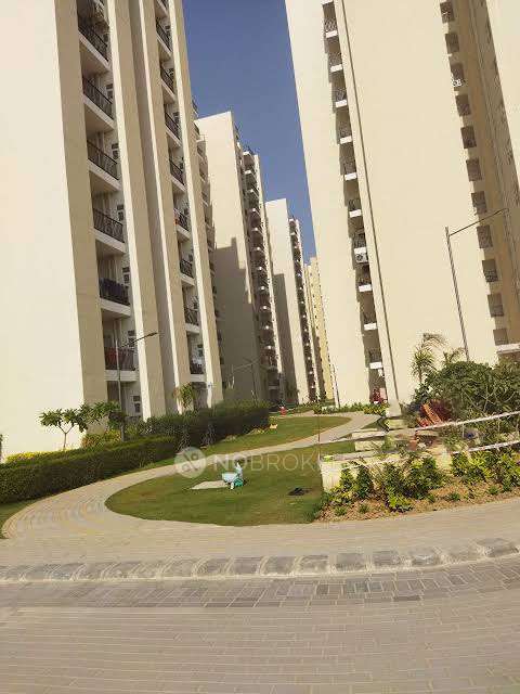 3 BHK Flat In Gls Avenue 51 For Sale  In Sector-92