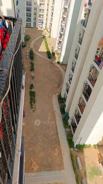 3 BHK Flat In Gls Avenue 51 For Sale  In Sector-92